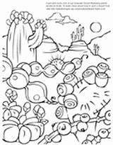 Coloring Asu Desert Pages Askabiologist Fruits Biologist Ask Sparky Worksheets Worksheet Template sketch template