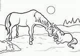 Colorare Cavalli Cavalo Konie Caballos Ausmalbilder Cavalos Pferd Onlinecursosgratuitos Hevoset Ausmalbild Marinhos Kolorowanki Cavallo Gratuitos Kostenlos Tulosta Q3 Pokoloruj sketch template