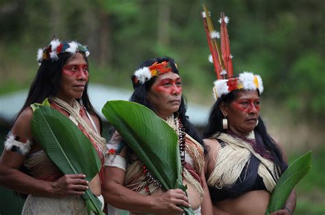 indigenous people   amazon