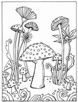 Mushrooms Mushroom Colouring Indie Trippy Fungi Doodle Magpie Flora Fauna sketch template