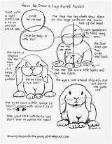 Lop Eared Dibujar Bunnies Conejo Sketching Elementary Parent sketch template
