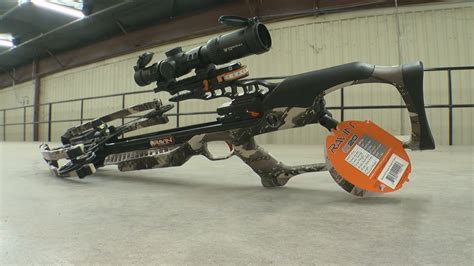 crossbows  rising  popularity due  ease    accuracy
