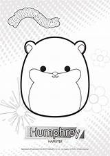 Squishmallows Squishmallow Humphrey Humphray Cuddly Coloringpagesonly Colorful Tim sketch template