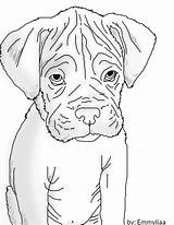 Coloring Perros Pic Sketch Dibujos Puppies sketch template