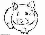 Hamster Coloring Drawing Pages Realistic Easy Printable Dwarf Cute Gerbil Clipart Kids Hamsters Drawings Baby Clipartmag Color Paintingvalley Print Adults sketch template