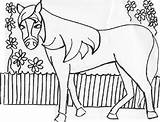 Horse Haflinger sketch template