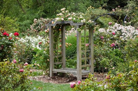 trellises provide form  function