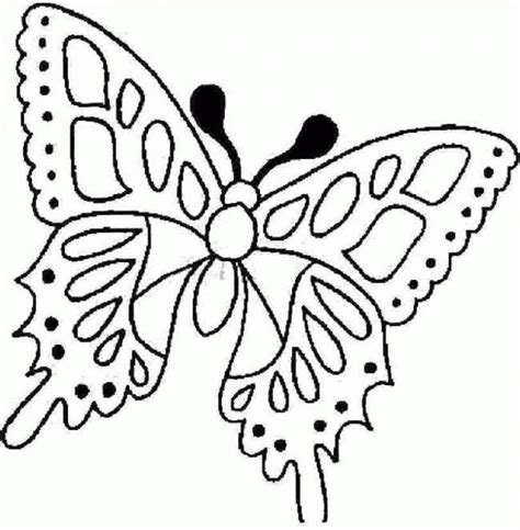 drawing   butterfly  black dots   wings   words love