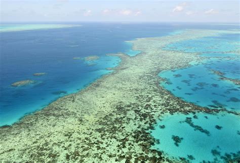 australia fights  downgrade  great barrier reef health ap news