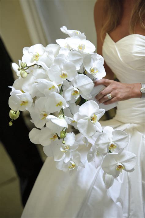 modern art gallery wedding  toronto weddingbells white orchid