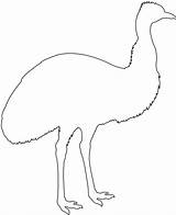 Emu Silhouette Silhouettes Outline Drawing Coloring Pages Dot sketch template