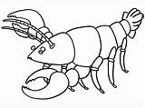 Lobster Pages Coloring Colouring Cartoon Printable sketch template