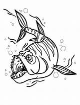 Barracuda Attack Piranha sketch template