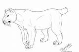 Coloring Tiger Saber Pages Template Tooth Cat Smilodon Drawing Big Print Sabertooth Colouring Animal Toothed Color Deviantart Google Lineart Drawings sketch template