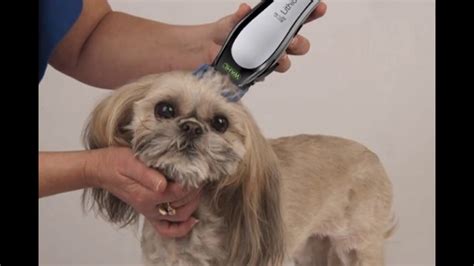 review wahl home pet lithium ion pro series pet clipper  youtube