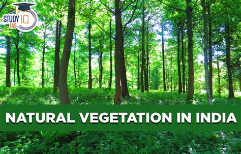 natural vegetation  india types map factors distribution