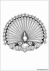 Peacock Mandala Pages Animal Coloring Color sketch template
