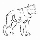 Wolf Pages Coloring Color Kids Baby Print Printable Realistic Animal Scary Standing Drawing Colouring Arctic Wolves Big Grey Draw Bad sketch template