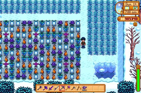 winter crops  stardew valley high ground gaming
