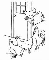 Chickens Hens Bauernhoftiere Honkingdonkey Rooster Letzte Roosters Bestcoloringpagesforkids sketch template
