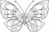Schmetterling Schmetterlinge Dekoking Mariposas Colorear Butterflies Butterfly Malvorlage Ausmalen Ausmalbild Farfalle Borboletas Zeichnen Raskrasil Farfalla Finden Em Insekten Desenho Mariposa sketch template