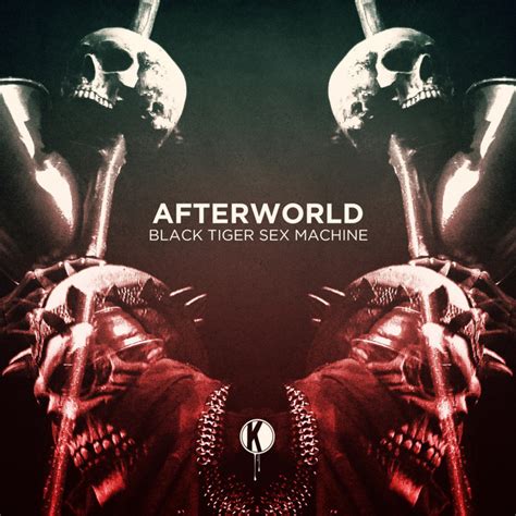 Afterworld Single By Black Tiger Sex Machine Spotify