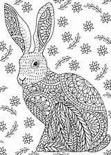 Coloring Bunny Pages Colouring Easter Adult Stress Rabbit Books Painting Bunnies Colour Print Mandala Ideen Mal Buch Wenn Bilder Du sketch template