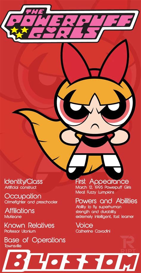 Powerpuff Girls Character Spotlight From Ript Apparel