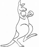 Kangaroo Drawing Boxing Easy Cartoon Flag Pages Logo Draw Clipart Gloves Tattoo Guantes Simple Coloring Colouring Kangaroos Color Google Search sketch template