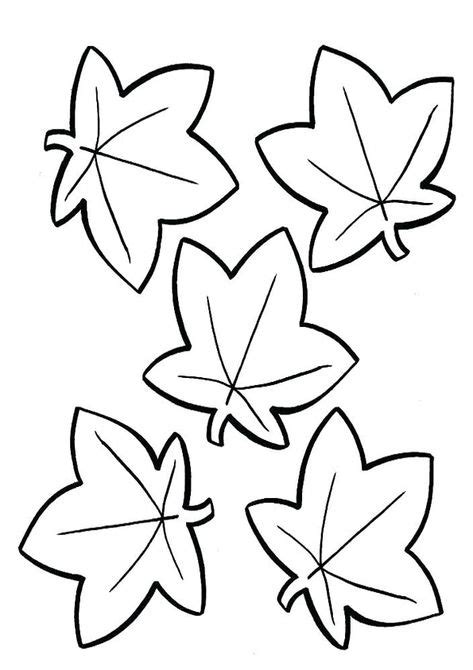 flowers  leaf coloring pages images   coloring
