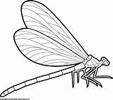 Dragonfly Clip Clipart Drawing Outline Line Cliparts Coloring Pages Side Clipartpanda Insect Library Clipartmag Template Clipartix Designs Collection Wings Insertion sketch template