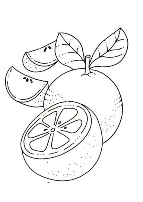 coloring pages orange coloring page  kids