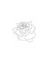 Rose Coloring Petals Bouquet sketch template