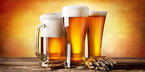 10 Types Of Beer Glasses To Complement Your Beer