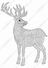 Coloring Deer Reindeer Pages Stag Christmas Adults Adult Doodle Printable Book Zentangle Cartoon Drawn Sketch Hand Forest Stylized Antistress Emblem sketch template