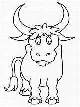 Bull Coloring Pages Printable Colouring Kids sketch template