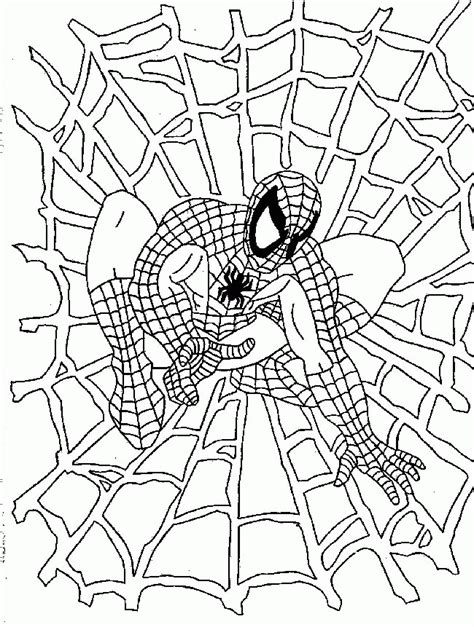 spider printable coloring home