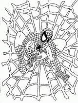 Spider Coloring Printable Girl Comments sketch template