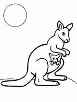 Wallaby Mammals sketch template