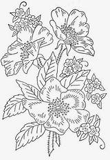 Bordar Embroidery Plantillas Florales Videojuegos sketch template