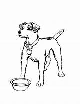 Coloriage Honden sketch template