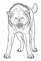 Zeichnen Wolves Dragoart Snarling Skizze Makangeni Lobos Werewolf sketch template