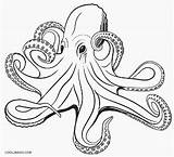 Octopus Coloring Pages Realistic Adult Drawing Printable Kids Print Drawings Vector Clipart Sea Cool2bkids Animals Getdrawings Draw Ocean Clip Illustrations sketch template