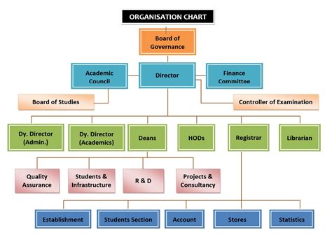 organization structure  management image