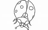 Carle Ladybug Grouchy sketch template