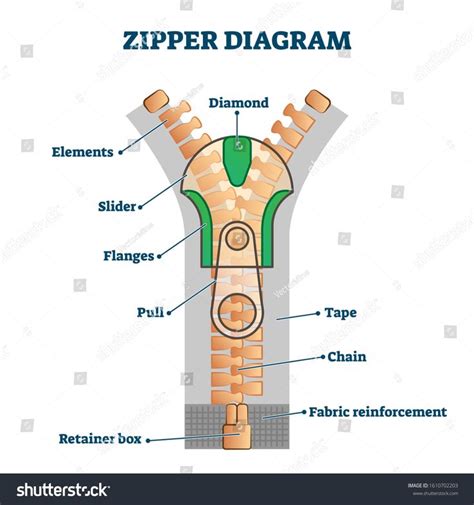 zipper diagram vector illustration detailed educational scheme  titles part names