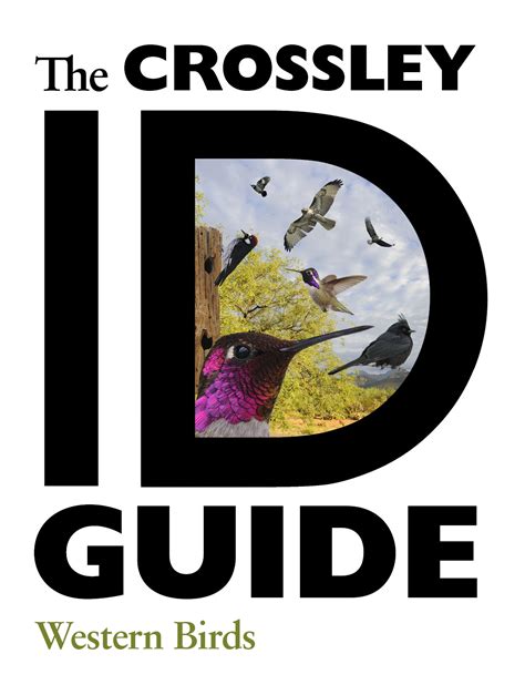 The Crossley Id Guide Western Birds Crossley Bird Id Guides