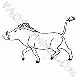 Warthog Coloring Pages Getcolorings Color sketch template