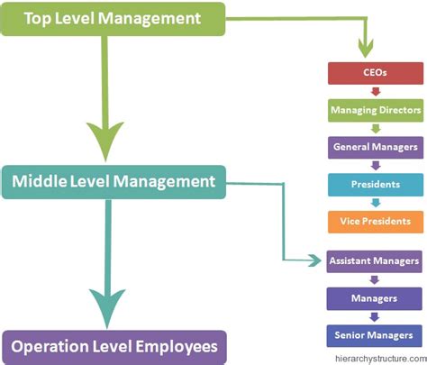 levels  business hierarchy chart hierarchystructurecom