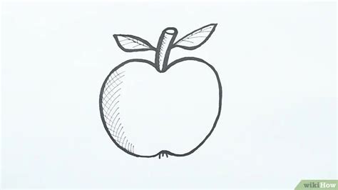 contoh sketsa gambar buah apel